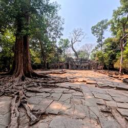 Ta Prohm, tomb raider temple