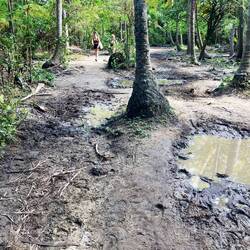 Touristen und Pferde formten diesen Traumpfad