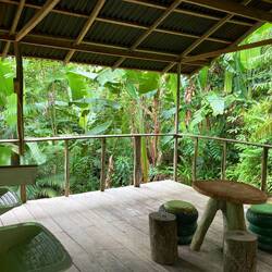 Zähneputzen unter Bananenpflanzen