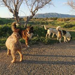 Die Nachbarn schauen vorbei