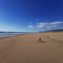 Noch mehr Sandstrand