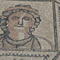 Volubilis mosaic