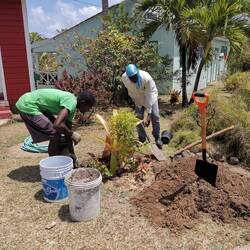 Gartenarbeit vor der Tür...