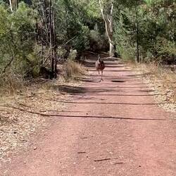 Die Spaziergänger hier sehen etwas anders aus