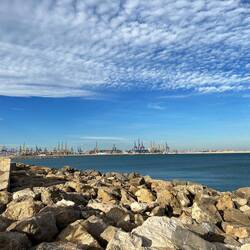 harbour of Valencia