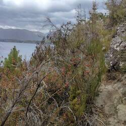 A bisserl umher streuern