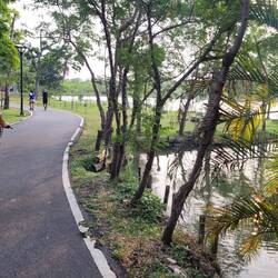 Mit Gratisvelos dure Park