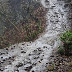 Wie ein sehr schlauer Doktor schon sagte: "Der Fluss ist der Weg" (Lg an Dr. P. S. aus M.)