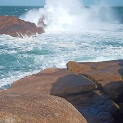 Man kann sich kaum sattsehen