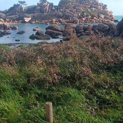 Wieder 100 m weiter, alles ruhig, windabgewandte Seite