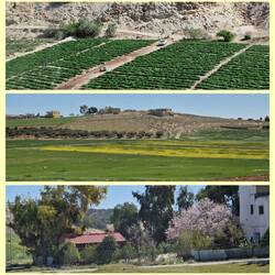 fruchtbares Land