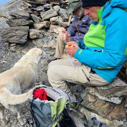 Geduldiger Hund. Pfirsich mag er nicht.