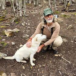 Der uns begleitende Hirtenhund