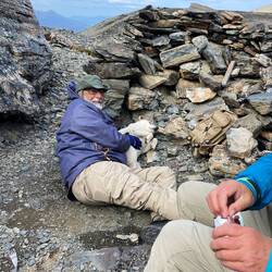 Pause im windgeschützten Refugium