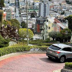 Lombard Street looking out over Telegraph Hill