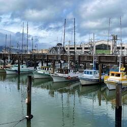 Some miniature boats