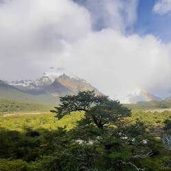 Die erst "gross" Wanderig zur Laguna y Glacier Torre
