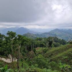 Erste Blicke in den Dschungel