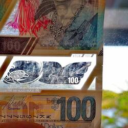 Schildkröte 🐢 im Fensterchen