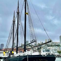 The amazing backdrop of San Francisco