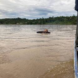 Mein 7. erfolgloser Versuch...