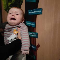 Und Mariechen, der kleine Sturkopf, hatte keinen Bock ;)