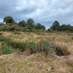 2 der 50 Forellenteiche