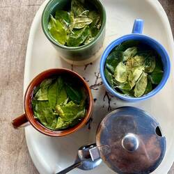 Te di Coca per il fiato