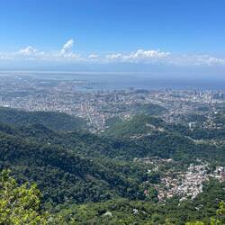 The View from the Statue