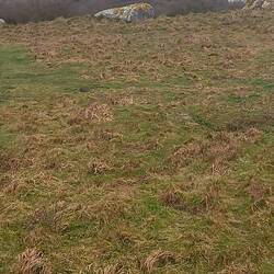 "Steine am Stellplatz", nicht "Schweine im Weltraum" 🙃