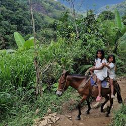 Zwei Kogi-Mädchen auf einem Maultier