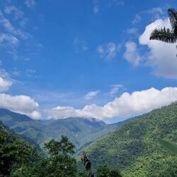 Blick von der Lost City in den Dschungel