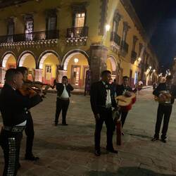 Mariachi band in the Jardín