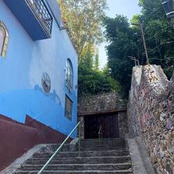The steps