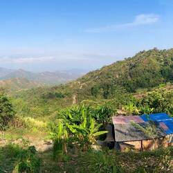 Vogelbeobachtubgstour mit vielen bunten Vögeln und einem Tukan. schwierig zu fotografieren