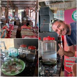 Reiswein. Im rechten Glas ist eine Schlange drin. Es wird geglaubt, dass diese viel Energie gibt 🐍