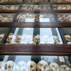 Killing Fields von Kambodscha ☠️