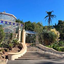 Im Botanischen Garten