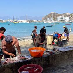 Cleaning fish