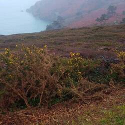Stellenweise doch noch was zu sehen