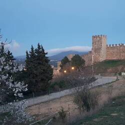 Blick vom Stellplatz