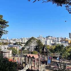 Views of San Fran from Alamo Square