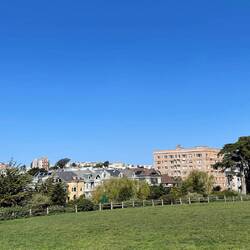 Alamo Square