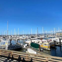 Sitting on the dock of the bay