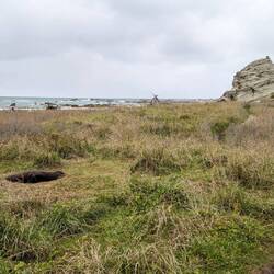 Presque écrabouillée