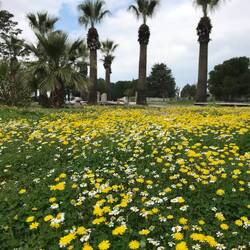 Der schöne Eingang in die Antike Stadt 'Hierapolis'
