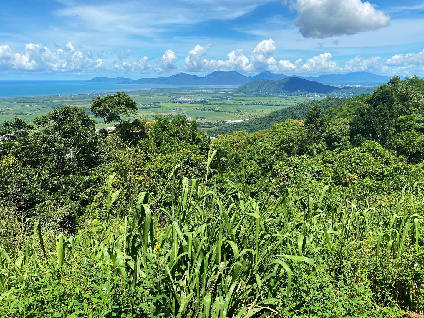 Lookout near Din Din Falls, Cairns airport is visible