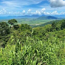 Lookout near Din Din Falls, Cairns airport is visible