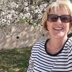 Mandelblüten am Radweg