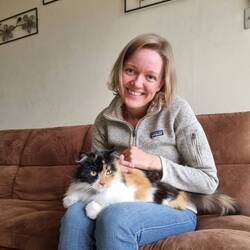 Tägliche Streicheleinheiten 🐈